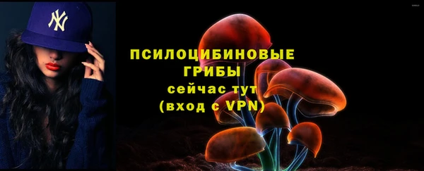 гидропоника Балабаново